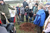 Bild: Haldenbepflanzung Sondershausen