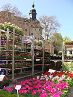 Bild: Ostermarkt Sondershausen