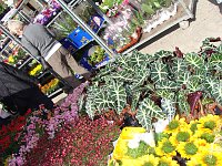 Bild: Ostermarkt Sondershausen