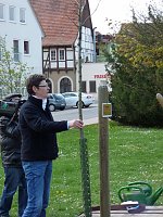 Bild: Baum gepflanzt