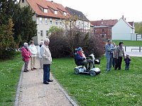 Bild: Baum gepflanzt