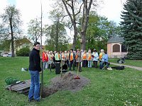 Bild: Baum gepflanzt
