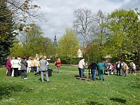 Bild: Baum gepflanzt