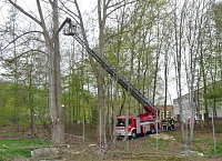 Feuerwehr im Borntal Bild: Feuerwehr im Borntal