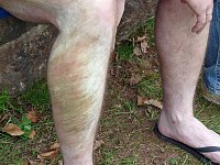Fußballturnier im Borntal Bild: Fußballturnier im Borntal