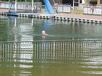 Spaß beim Anbaden Bild: Spaß beim Anbaden