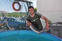 Fischfest in Auleben Bild: Fischfest in Auleben