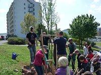 Bild: Wohngebietsfest &Ouml;stertal