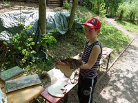 Bild: Wohngebietsfest &Ouml;stertal