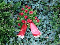 Gegen das Vergessen Bild: Gegen das Vergessen