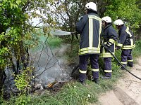 Baumpflege mit Feuer? Bild: Baumpflege mit Feuer?