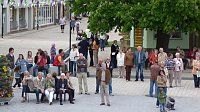 Bild: Fliederkrone gesetzt
