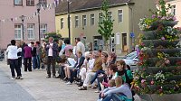 Bild: Fliederkrone gesetzt