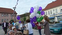 Bild: Fliederkrone gesetzt