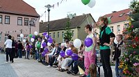 Bild: Fliederkrone gesetzt