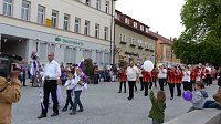 Bild: Fliederkrone gesetzt