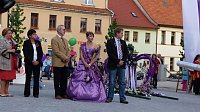 Bild: Fliederkrone gesetzt
