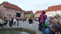Bild: Fliederkrone gesetzt