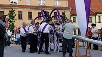 Bild: Fliederkrone gesetzt
