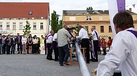 Bild: Fliederkrone gesetzt
