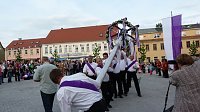 Bild: Fliederkrone gesetzt