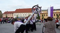 Bild: Fliederkrone gesetzt