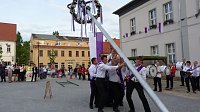 Bild: Fliederkrone gesetzt