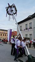 Bild: Fliederkrone gesetzt