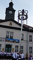 Bild: Fliederkrone gesetzt