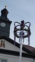 Bild: Fliederkrone gesetzt
