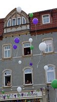 Bild: Fliederkrone gesetzt