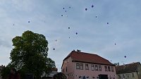 Bild: Fliederkrone gesetzt