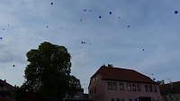 Bild: Fliederkrone gesetzt