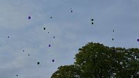 Bild: Fliederkrone gesetzt
