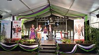Impressionen vom Fliederfest Bild: Impressionen vom Fliederfest
