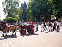 Bild: 1.225 Donndorf 