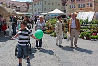 Bild: Impressionen Residenzfest