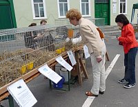 Bild: Impressionen Residenzfest