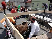 Bild: Impressionen Residenzfest