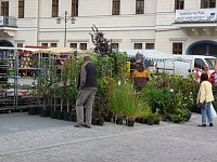 Bild: Auch gekauft?