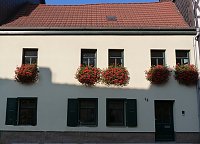 Bild: Blumenmeer Bad Frankenhausen