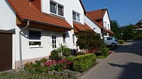 Bild: Blumenmeer Bad Frankenhausen