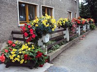 Bild: Blumenmeer Bad Frankenhausen