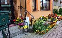 Bild: Blumenmeer Bad Frankenhausen