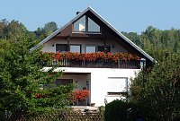 Bild: Blumenmeer Bad Frankenhausen