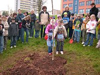 Bild: Baumpflanzung