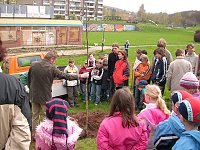 Bild: Baumpflanzung