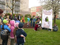 Bild: Wohngebietsfest &Ouml;stertal Hasenholz