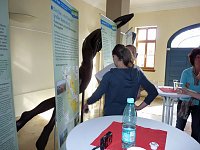 Ausstellung Flut Bild: Ausstellung Flut