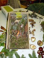 Bild: Neuer Wald